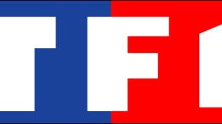 Les séries de TF1 pour l'année 2011