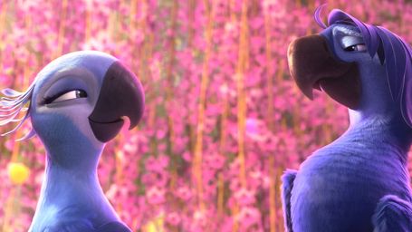 image de la news "Rio 2" : les premières photos ! 