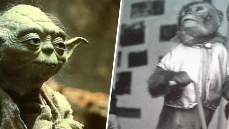 image de la news "Star Wars" : un singe dans le rôle de Yoda ???