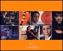 image de la news Livres : "Le Dictionnaire mondial des films"