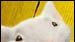 image de la news Une souris se taille la part du lion
