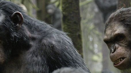 image de la news La Planète des singes l'affrontement : Caesar au coeur de la nouvelle bande-annonce