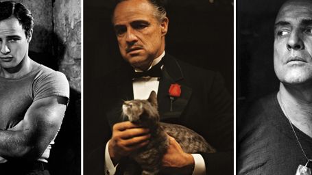 image de la news Marlon Brando, éternelle icône du cinéma...