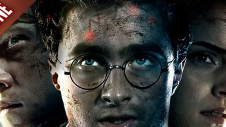 image de la news FanZone 420 : le spin-off d'Harry Potter a trouvé son héros...