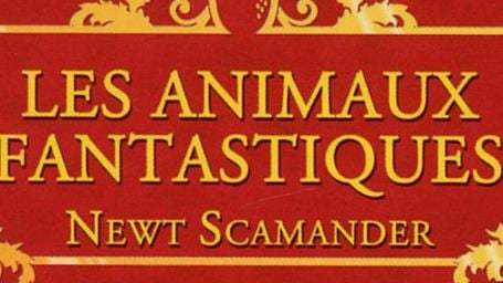 Les Animaux fantastiques: le phénoménal succès du casting public de Modesty