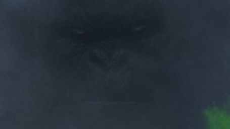 image de la news Comic Con 2016 : "Notre version de Kong est très différente des précédentes"