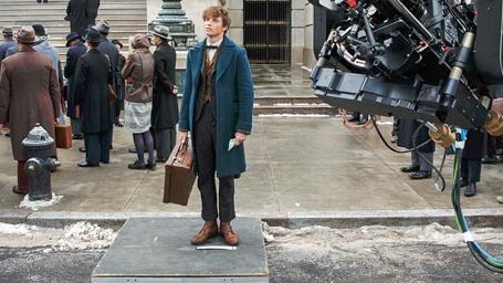 image de la news Les Animaux Fantastiques a failli être un documenteur !