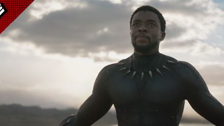image de la news FanZone 730 : Black Panther se démasque