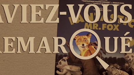 image de la news Aviez-vous remarqué ? Les petits détails cachés de Fantastic Mister Fox