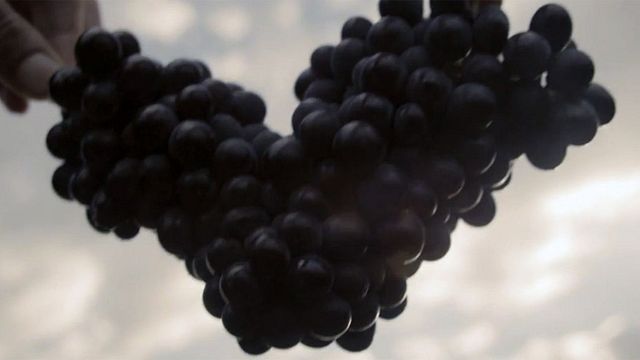 image de la news Wine Calling : "Le vin c'est du plaisir et non une étiquette ou une appellation"