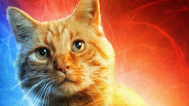 image de la news Des affiches personnages pour Captain Marvel !