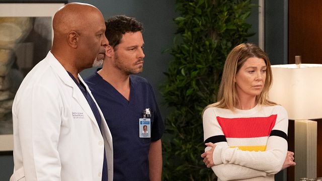 image de la news Grey's Anatomy saison 15 : ce qui vous attend dans les deux derniers épisodes sur TF1 [SPOILERS]