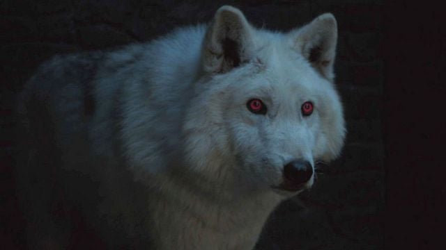 image de la news Game of Thrones : une bataille de loups géants était prévue dans la saison 8