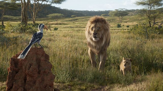 image de la news Pourquoi Le Roi Lion live est en fait un film d'animation
