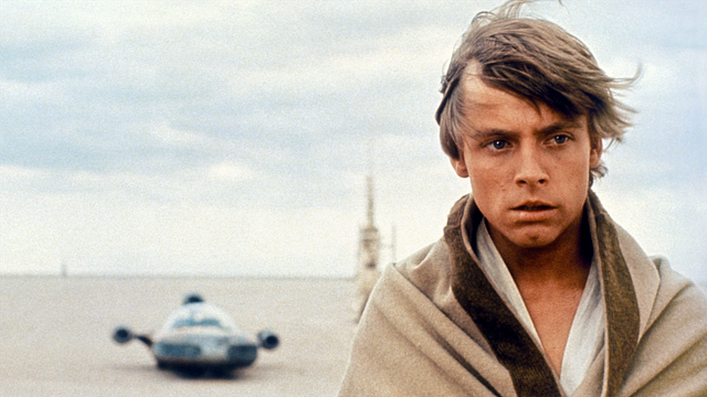 image de la news Star Wars : Disney à la recherche d'un jeune Luke Skywalker pour la série Obi-Wan Kenobi