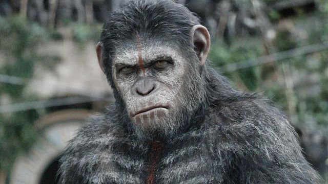 image de la news La Planète des Singes : le nouveau film ne sera pas un reboot
