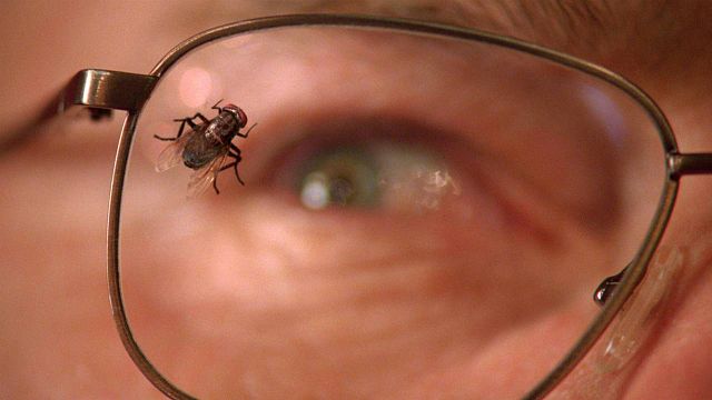 image de la news Coronavirus : 12 épisodes de séries qui ont joué le confinement... ou presque !