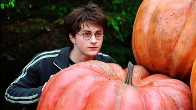 image de la news Harry Potter 3 sur TF1 : toutes les erreurs et faux raccords du Prisonnier d'Azkaban !