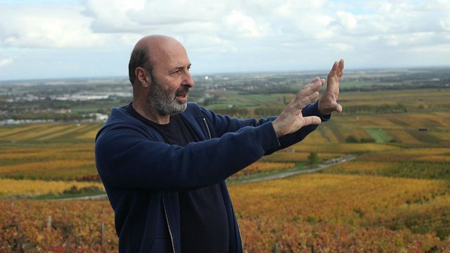 image de la news Ce qui nous lie sur France 2 : pourquoi Klapisch a-t-il mis 7 ans à faire ce film ?