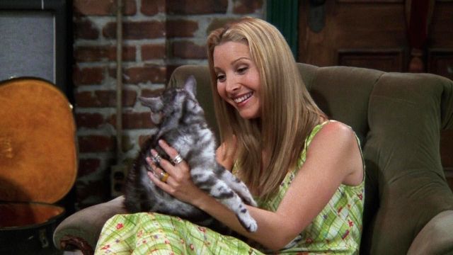 image de la news Friends : Lisa Kudrow imagine Phoebe en confinement