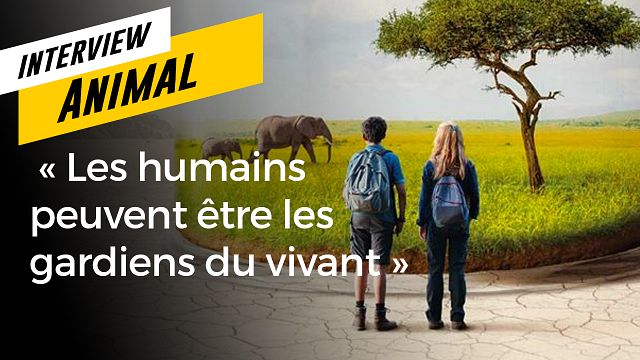 image de la news Après Demain, découvrez Animal le nouveau documentaire de Cyril Dion : "Les humains peuvent être les gardiens du vivant"