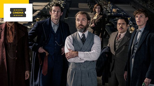 image de la news Les Animaux Fantastiques 3, Leonardo DiCaprio dans Killers of the Flower Moon, Blacklight... Les photos ciné de la semaine !