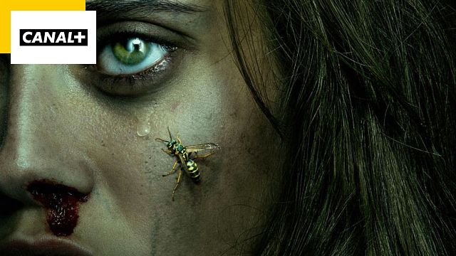 image de la news Yellowjackets sur CANAL+ : un survival gore, moderne et jouissif qui ferait pâlir Lost