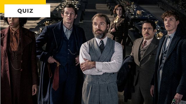 image de la news Quiz - Fast and Furious, Les Animaux Fantastiques... Etes-vous le boss de l'actu ciné ?