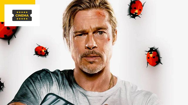 image de la news Brad Pitt : bientôt la retraite pour la star de Bullet Train ?