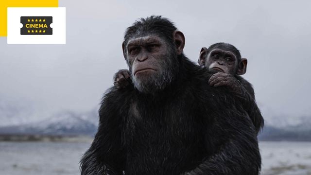 La Planète des singes : la star du nouveau film a été choisie !