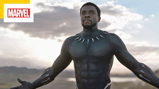 image de la news Black Panther 2 : pourquoi Marvel n'a pas remplacé Chadwick Boseman ? 