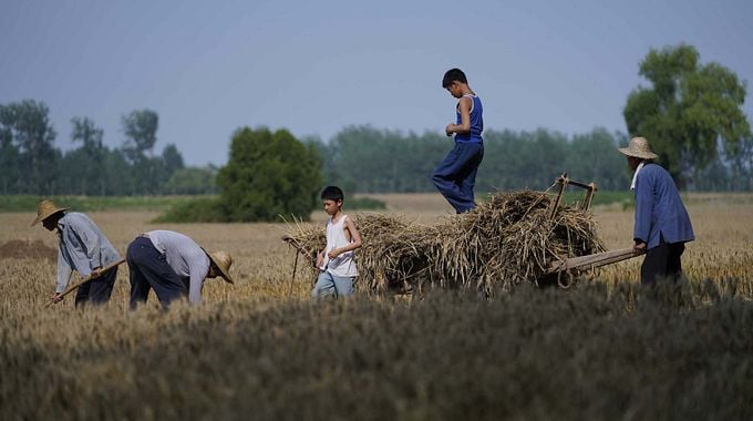 Photo du film Le Temps des moissons