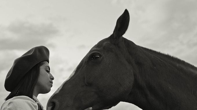 Photo du film Les Cavaliers des terres sauvages