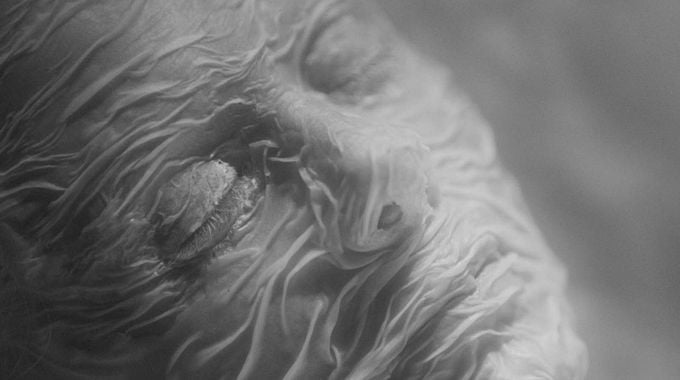 Photo du film Else