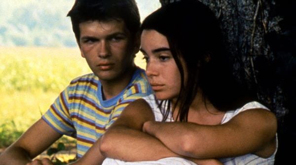 Photo du film Les Roseaux sauvages