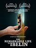 poster de Ibelin : La vie remarquable d'un gamer