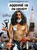 poster de André est un idiot