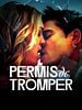 poster de Permis de tromper