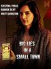 poster de Petite ville, grands mensonges