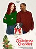 poster de La checklist de Noël