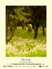poster de Dry Leaf