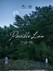 poster de Possible Love