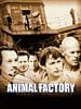 poster de Animal Factory