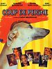 poster de Coup de peigne