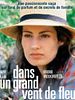 poster de Dans un grand vent de fleurs