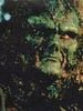 poster de Swamp Thing
