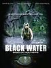 poster de Black Water