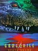 poster de Crocodile 2: Death Swamp