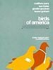 poster de Birds of America
