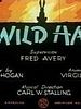 poster de A Wild Hare